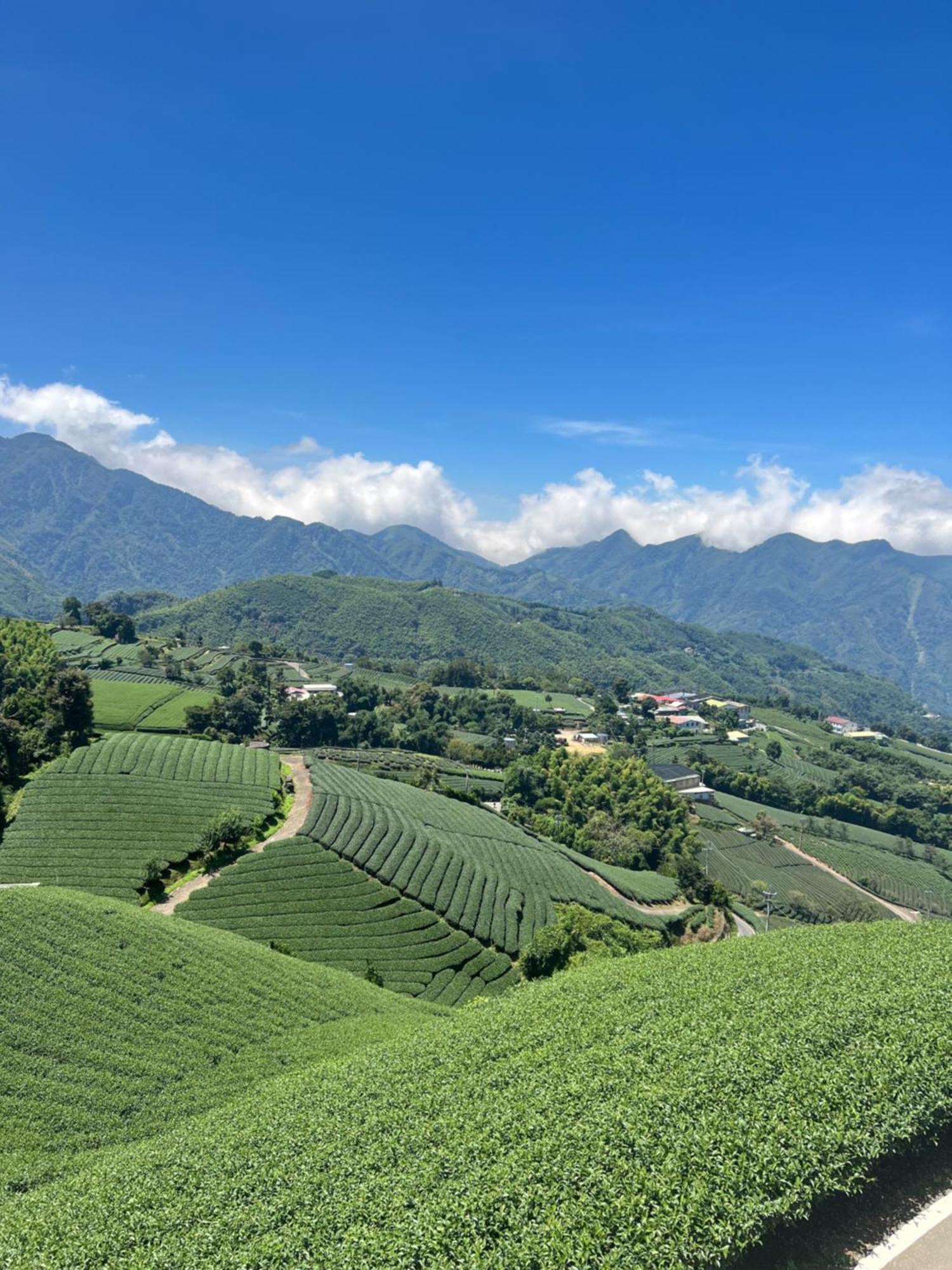 Gaodiyuan Tea B&B 高帝園茶業民宿 Meishan Εξωτερικό φωτογραφία