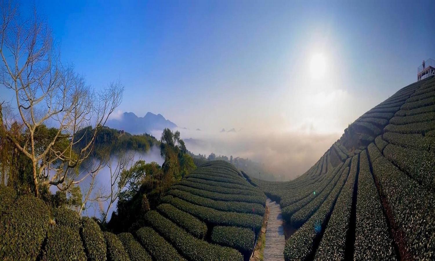 Gaodiyuan Tea B&B 高帝園茶業民宿 Meishan Εξωτερικό φωτογραφία