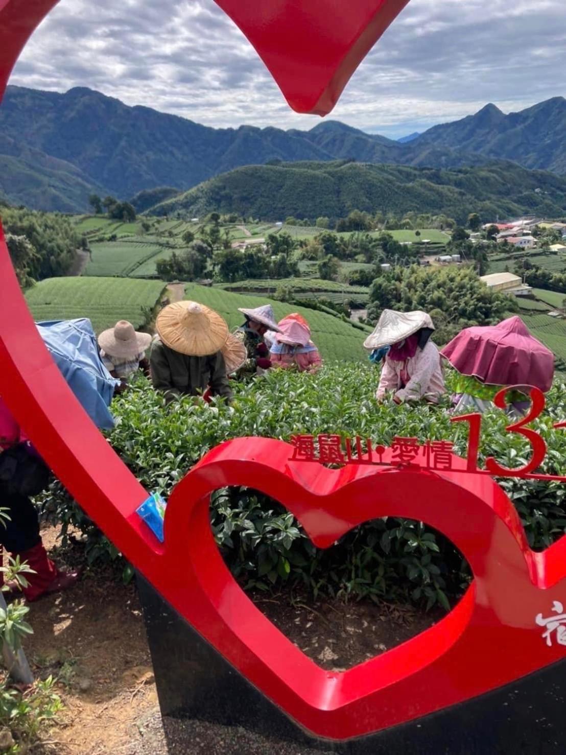 Gaodiyuan Tea B&B 高帝園茶業民宿 Meishan Εξωτερικό φωτογραφία