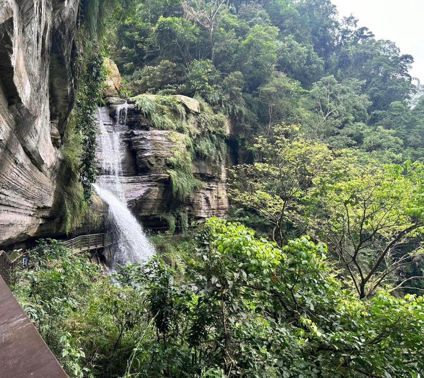 Gaodiyuan Tea B&B 高帝園茶業民宿 Meishan Εξωτερικό φωτογραφία